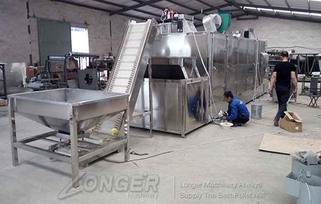 Cocoa Beans Roasting Machine|Continuous Roaster With Conveyo